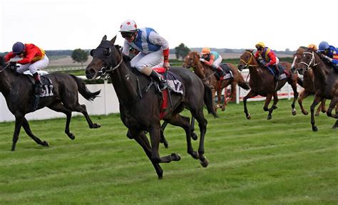 olbg tips|Todays Best Horse Racing Tips .